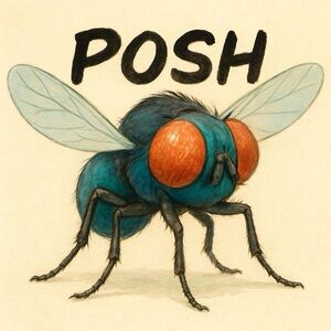 BE POSH FLY!!!! LIVE SHARE SHOW Every Friday and Sunday! Come join the fun. 🤩🎉🎊